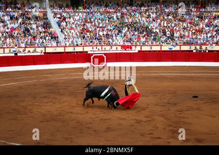 Manuel Jesus Cid Salas conosciuto come El Cid Spagna bullfighter Con bull che corre verso di lui Santander Cantabria Spagna 21 luglio 2009 Foto Stock