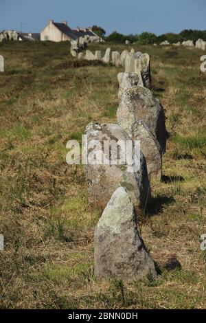 Pietre di Carnac nell'allineamento del Ménec (allineamenti de Ménec) vicino alla città di Carnac nel nord-ovest della Francia Foto Stock