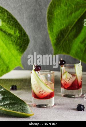 Cocktail vodka con mirtilli a fuoco con una guarnitura con fette di cetriolo e mirtilli su bastoni su uno sfondo di foglie verdi e gocce. Foto Stock