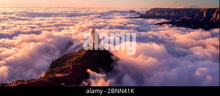 Monte Hayden sopra la nebbia, Grand Canyon. Preso da Point Imperial sul bordo nord del Canyon, Arizona, USA. Settembre. Foto Stock