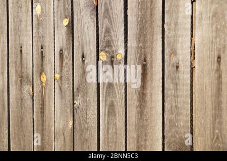 Un vecchio muro di legno fatto di assi inchiodato.Classico sfondo. Foto Stock