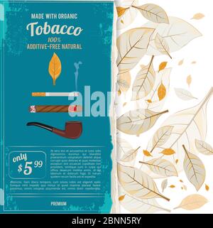 Illustrazioni di fondo con fogli di tabacco, sigarette e vari strumenti per fumatori Illustrazione Vettoriale