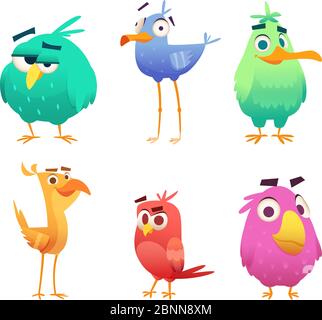 Cartoon uccelli divertenti. Volti di animali carini colorati aquile bambino uccelli felici. Caratteri clipart vettoriali isolati Illustrazione Vettoriale