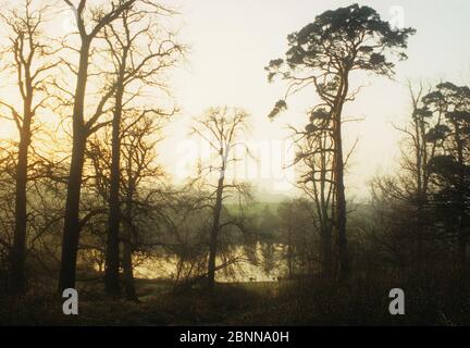 Una vista invernale del piccolo lago Ampthill progettato da Capability Brown Foto Stock