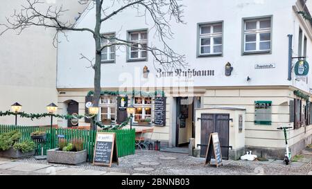 Zum Nussbaum, Schänke, taverna, ristorante, gastronomia, Nikolaiviertel, Berlin Mitte, Berlino, Germania Foto Stock