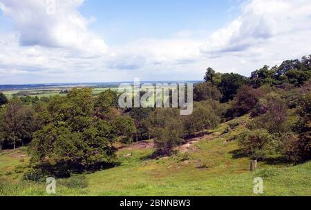 La vista su Ampthill Park dal Green Sand Ridge. Foto Stock