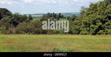 Vista da Green Sand Ridge a Millbrook Clump ad Ampthill Park, parte del design di Capability Brown Foto Stock