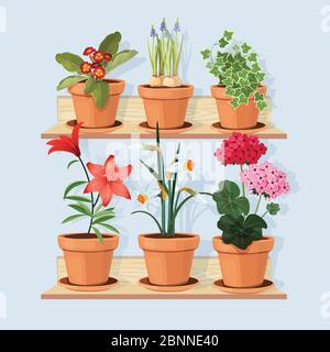 Fiori agli scaffali. Piante di albero decorativo crescono in pentole e in piedi in casa interni a scaffali di legno vettore cartoon immagini Illustrazione Vettoriale