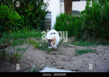 Benvenuti in Tunisia, Benvenuti a Sousse ed El Kantaoui Foto Stock