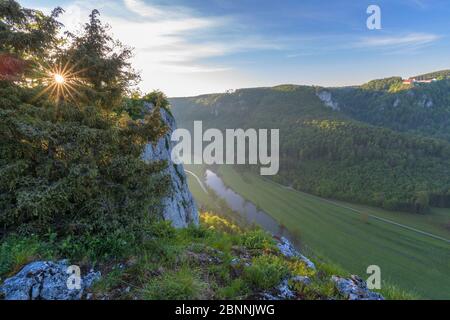 Punto di osservazione Eichfelsen all'alba, Oberes Donautal (alta valle del Danubio), Beuron, Irndorf, Alb Svevo, Giura svevo, Baden-Württemberg, Germania Foto Stock