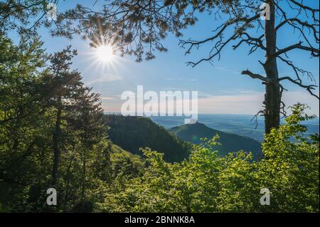 Punto di vista Burg Hohenzollern con sole in primavera, Alb sveva, Giura svevo, Bisingen, Baden-Württemberg, Germania Foto Stock