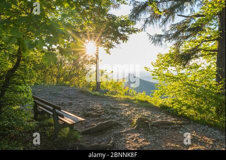 Punto di vista Burg Hohenzollern con panca e sole in primavera, Alb sveva, Giura svevo, Bisingen, Baden-Württemberg, Germania Foto Stock