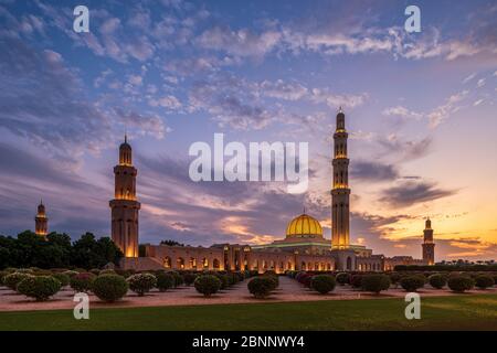 Moschea, casa di preghiera, cupola, minareto, parco, giardino, crepuscolo, illuminazione, cielo serale, nuvole, paesaggio nuvoloso, alberi Foto Stock