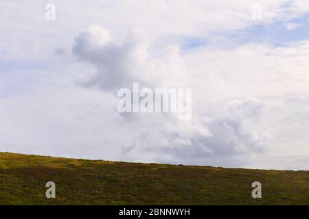 Storm Cloud su un campo verde a pacifica, California, Stati Uniti Foto Stock