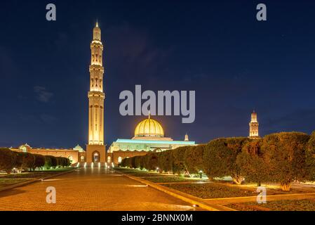 Moschea, casa di preghiera, cupola, minareto, parco, giardino, crepuscolo, illuminazione, cielo serale, nuvole, paesaggio nuvoloso, alberi Foto Stock