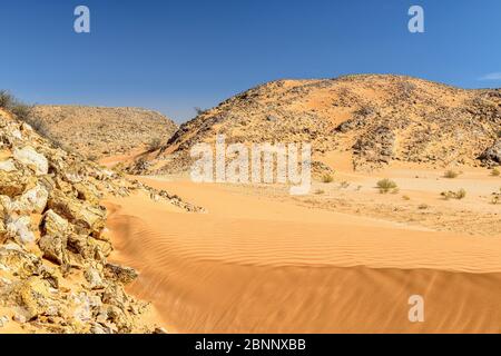 Scogliere, calcare, fossili, fossili, sabbia, bordo Foto Stock