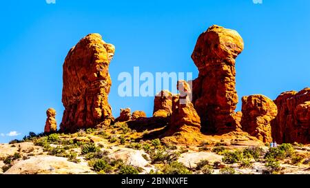 Unici pinnacoli di arenaria rossa e pinne di roccia al Garden of Eden nel Parco Nazionale di Arches vicino alla città di Moab nello Utah, Stati Uniti Foto Stock