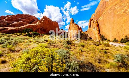 Unici pinnacoli di arenaria rossa e pinne di roccia al Devil's Garden nel Parco Nazionale di Arches vicino alla città di Moab nello Utah, Stati Uniti Foto Stock