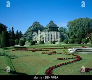 Casa delle palme (Palmenhaus Schönbrunn), Palazzo Schönbrunn. Vienna, Austria Foto Stock