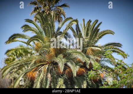 benvenuti in tunisia, benvenuti a sousse Foto Stock