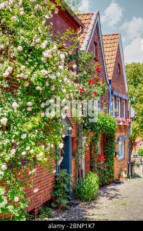 Case a graticcio, Spiegelberg, città vecchia, Stade, bassa Sassonia, Germania, Europa Foto Stock