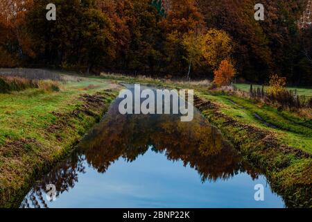 Piccolo fiume nella foresta in inverno all'alba Foto Stock