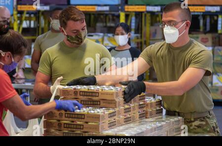I soldati della Guardia Nazionale della Florida assistono con la distribuzione di cibo in risposta a COVID-19, pandemia di coronavirus al progetto Feed Tampa Bay 12 maggio 2020 a Tampa, Florida. Foto Stock