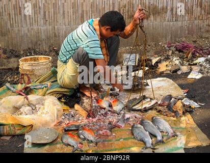 Un venditore di strada che vende pesce nel mercato. Foto Stock