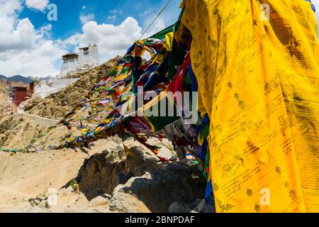 Il monastero di Namgyal Tsemo Gompa, la collina di Tsenmo, Leh, Ladakh, Jammu e Kashmir, India, Asia Foto Stock