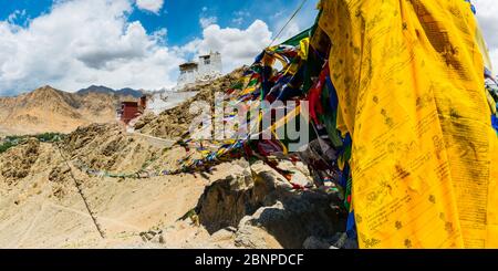 Il monastero di Namgyal Tsemo Gompa, la collina di Tsenmo, Leh, Ladakh, Jammu e Kashmir, India, Asia Foto Stock