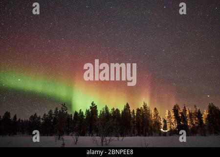 Finlandia, Lapponia, Pallastunturi, paesaggio, cielo stellato, aurora boreale, notte Foto Stock