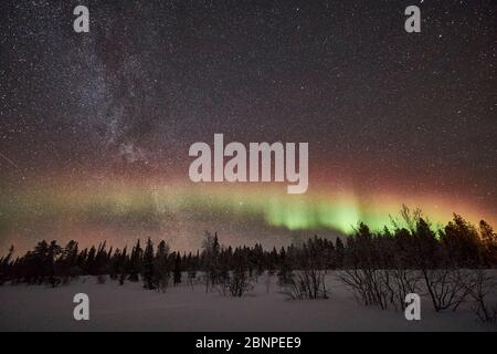 Finlandia, Lapponia, Pallastunturi, paesaggio, cielo stellato, Via Lattea, aurora boreale Foto Stock