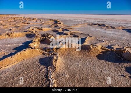 Tramonto / Alba a croste di sale bianco su fango sulla riva del grande, arida-zona Kati Thana-Lago Eyre nel Outback nel nord dell'Australia del Sud Foto Stock