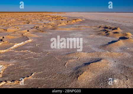 Tramonto / Alba a croste di sale bianco su fango sulla riva del grande, arida-zona Kati Thana-Lago Eyre nel Outback nel nord dell'Australia del Sud Foto Stock