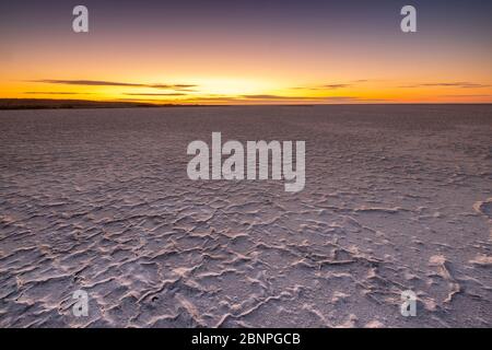 Tramonto / Alba a croste di sale bianco su fango sulla riva del grande, arida-zona Kati Thana-Lago Eyre nel Outback nel nord dell'Australia del Sud Foto Stock