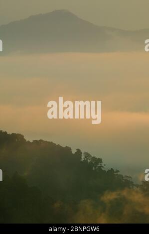 Luci e nebbia mattutine nelle prime ore d'oro nel parco nazionale di Darien, visto da Cerro Pirre, provincia di Darien, Repubblica di Panama, America Centrale. Foto Stock