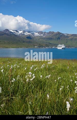 Vista sulla baia di Grundarfjoerdur e Snaefellsnes fino alle montagne innevate di Kvernarfjall. Nella baia c'è la nave da crociera 'Sapphire Princess' in strada. Foto Stock