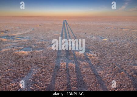 Tramonto / Alba a croste di sale bianco su fango sulla riva del grande, arida-zona Kati Thana-Lago Eyre nel Outback nel nord dell'Australia del Sud Foto Stock