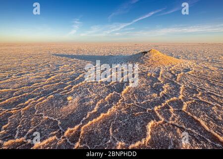 Tramonto / Alba a croste di sale bianco su fango sulla riva del grande, arida-zona Kati Thana-Lago Eyre nel Outback nel nord dell'Australia del Sud Foto Stock