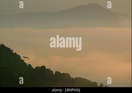 Luci e nebbia al mattino presto nel parco nazionale di Darien, visto da Cerro Pirre, provincia di Darien, Repubblica di Panama, America Centrale. Foto Stock