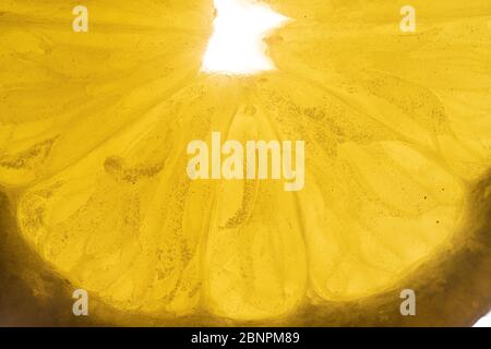 Fetta di arancio e limone isolata su sfondo. Foto Stock