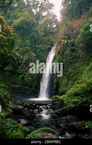 Cascata nel mezzo della foresta pluviale tropicale. Situgunung, Parco Nazionale del Monte Gede Pangrango, Sukabumi, Indonesia. Immagine di archivio. Foto Stock