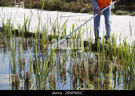 primo piano lavoratori pulizia lago Foto Stock