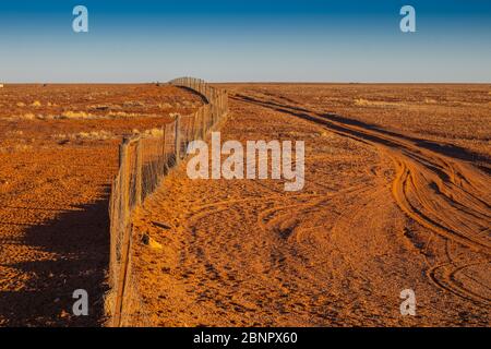 Ammira la famosa Dingo Fence o Dog Fence a Coober Pedy, South Australia, Outback. Foto Stock