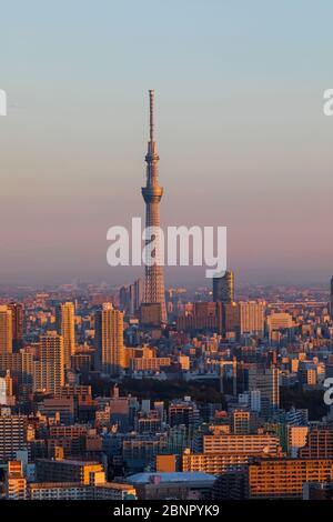 Giappone, Honshu, Tokyo, Asakusa, Skyline Di Asakusa E Tokyo Skytree Tower Foto Stock