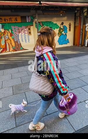Giappone, Honshu, Tokyo, Asakusa, Donna A Piedi Piccolo Cane Foto Stock