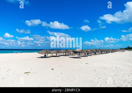 Un sacco di ombrelloni di paglia in piedi in fila e lettini stare sulla sabbia bianca contro un cielo blu nuvoloso. Varadero, Provincia di Matanzas, Cuba Foto Stock