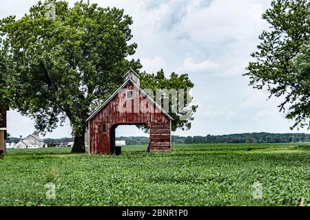 Vecchio fienile di legno rosso e grigio in Illinois con campo di soia verde che lo circonda. Foto Stock