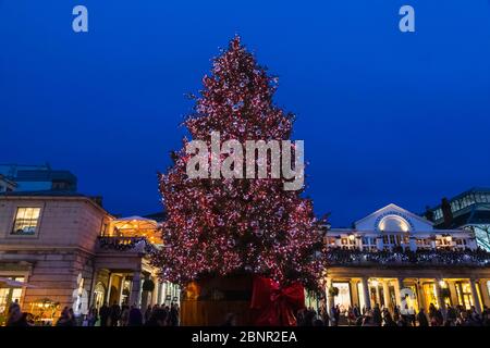 Inghilterra, Londra, Covent Garden, Covent Garden Albero Di Natale Illuminato Di Notte Foto Stock