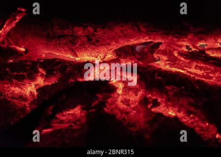 Primo piano immagine di calici fuoco di notte Foto Stock